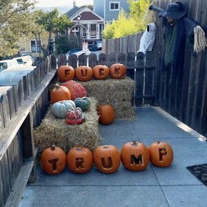 F Trump Pumpkins.jpg