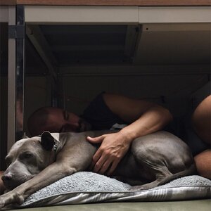 Joel Mejia Smith and Jade 03.jpg