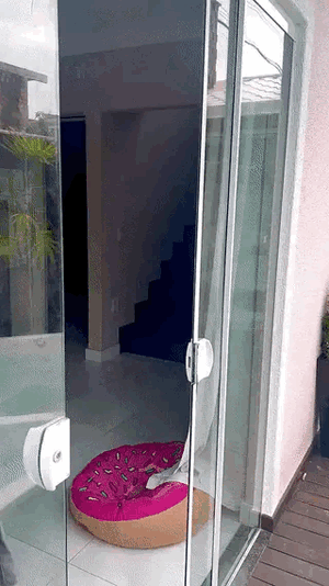 despertar 9'80tw9'e0¡t9w e.gif