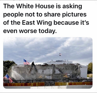 IMG_0731.png