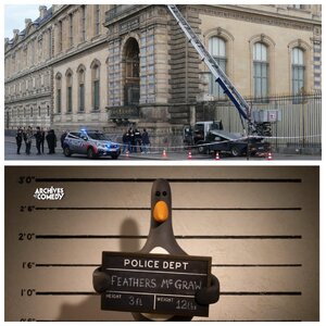 The Louvre heist.jpg