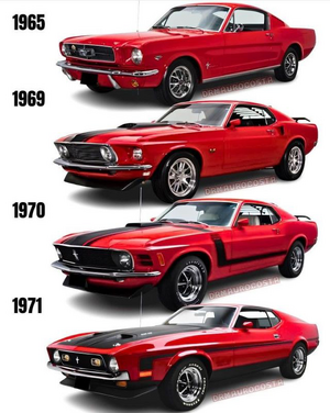 IMG_1365.png IMG_1365.png