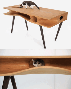 Cat Table.gif
