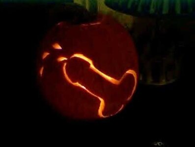 HalloweenfromRotten-com.jpg.482e18be6e68ed624e3eb61661ecec78.jpg HalloweenfromRotten-com.jpg.482e18be6e68ed624e3eb61661ecec78.jpg