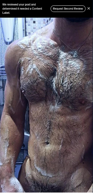 Screenshot 2025-11-03 at 16-03-14 (56) Tumblr.png Screenshot 2025-11-03 at 16-03-14 (56) Tumblr.png