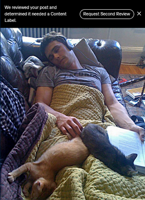 Screenshot 2025-11-03 at 16-03-59 (57) Tumblr.png Screenshot 2025-11-03 at 16-03-59 (57) Tumblr.png