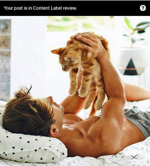 Screenshot 2025-11-03 at 16-10-09 (60) Tumblr.png Screenshot 2025-11-03 at 16-10-09 (60) Tumblr.png