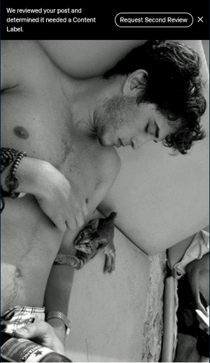 Screenshot 2025-11-03 at 16-16-13 (64) Tumblr.png Screenshot 2025-11-03 at 16-16-13 (64) Tumblr.png