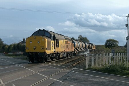 54892773743_7ff04c9320_b_Original.jpeg 54892773743_7ff04c9320_b_Original.jpeg