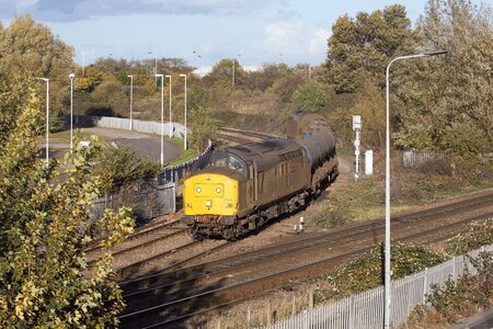 IMG_7690_Original.jpeg IMG_7690_Original.jpeg