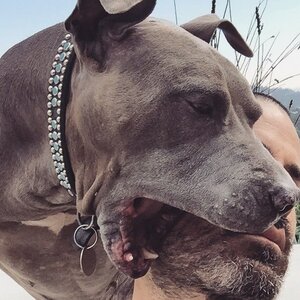 Joel Mejia Smith and Jade 1 f31jE1thdep6o1_640.jpg