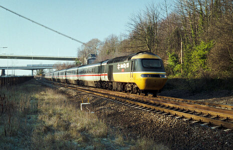 IMG_7722_Original.jpeg IMG_7722_Original.jpeg