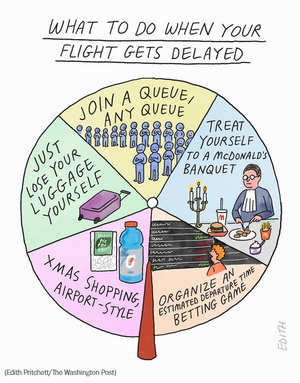Screenshot 2025-11-09 at 12-06-56 Opinion Edith Pritchett cartoon on flight delays - The Washi...png