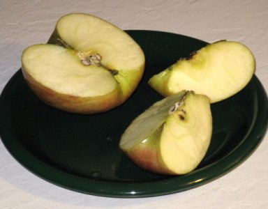 March 2007 Pictures 006.jpg