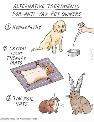 Screenshot 2025-11-15 at 08-26-26 Opinion Edith Pritchett cartoon on anti-vaccine pet owners -...png Screenshot 2025-11-15 at 08-26-26 Opinion Edith Pritchett cartoon on anti-vaccine pet owners -...png