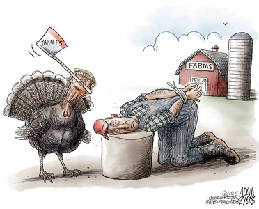 Screenshot 2025-11-15 at 15-12-52 Cagle.com.png