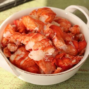 Maine-Lobster-Meat.jpg