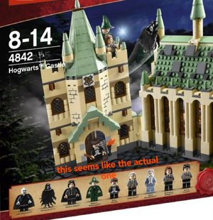 why-do-the-harry-potter-4842-hogwarts-figures-look-different-v0-5lrjafubrzce1.png