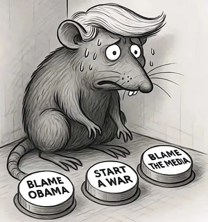 IMG_3384.png IMG_3384.png