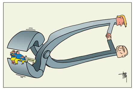 Screenshot 2025-11-21 at 14-04-25 Cagle.com.png