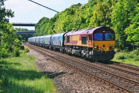 IMG_7961_Original.jpeg IMG_7961_Original.jpeg