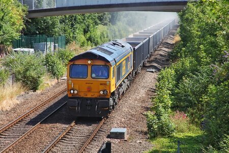 IMG_7981_Original.jpeg IMG_7981_Original.jpeg