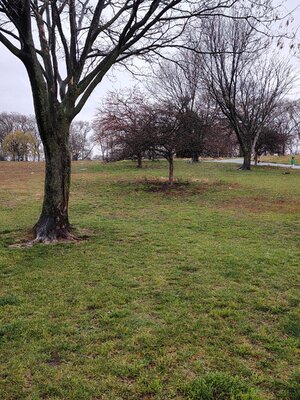 1000000343.jpg 1000000343.jpg