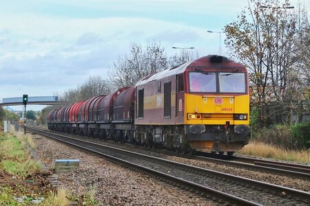 IMG_7991_Original.jpeg IMG_7991_Original.jpeg