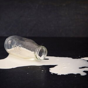 Dont-Cry-Over-Spilled-Milk-Day-1.jpg