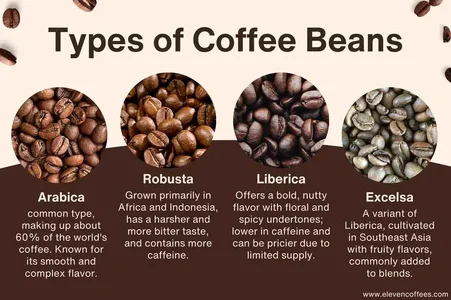 types-of-coffee-beans.webp