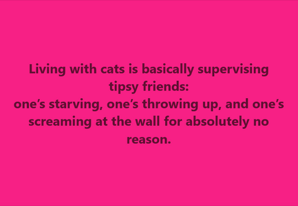 Cats.png