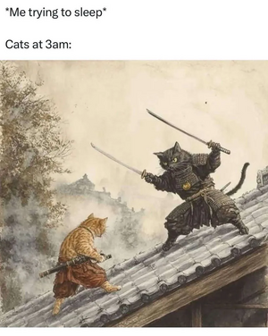 cats.png