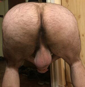 ASS HAIRY3.jpg