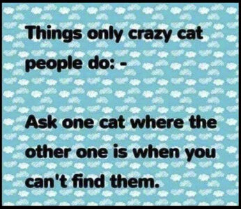 where's your sister.jpg