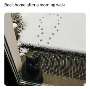 Back home after walk.webp