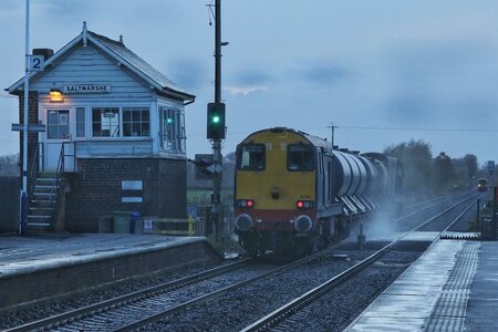 IMG_3161.jpeg IMG_3161.jpeg