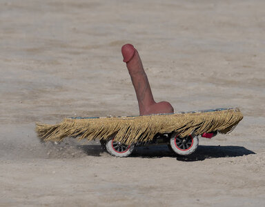 5. Remote controlled magic carpet adult toy.jpg