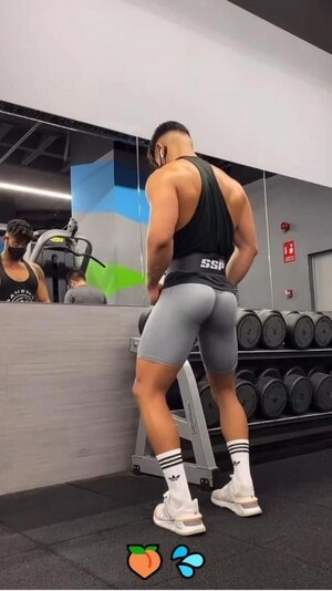 science based summer workout plan.jpeg