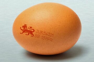 british-lion-egg-360x240.jpg