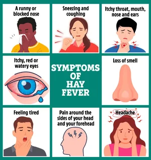 KH_25_06_HAY_FEVER_GRAPHIC.webp