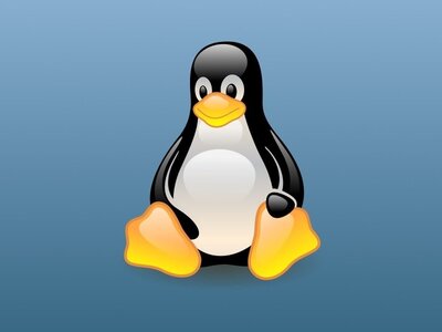 Linux Penguin.jpg