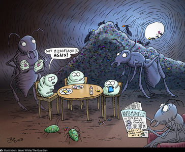 Screenshot 2026-01-03 at 06-32-47 Jason White on plastic pollution in the food chain – cartoon...png