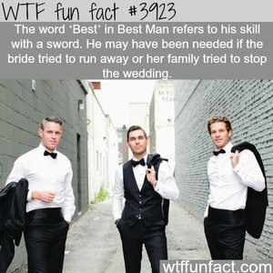 WTF Facts _ funny, interesting & weird facts.jpeg