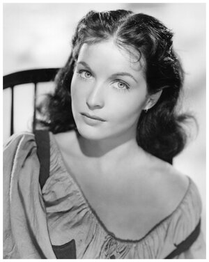 licensed-image (5).jpeg