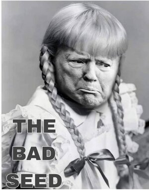 20260116_103018.jpg 20260116_103018.jpg