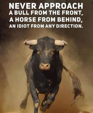 Never approach an idiot.jpg