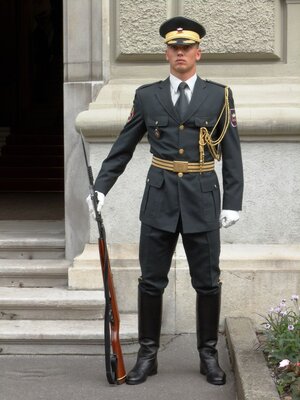 Ceremonial Guards at Government and Presidential Palace in Ljubljana, Slovenia_.jpeg