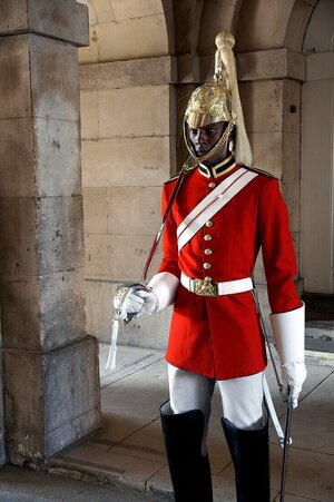 70377888-Member-of-Regiment-of-Life-Guards-Horse-Guards-parade-Westminster-London-England-UK.jpg