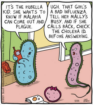 Screenshot 2026-01-23 at 12-10-35 Instagram.png