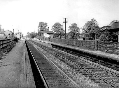 IMG_5883.jpeg IMG_5883.jpeg